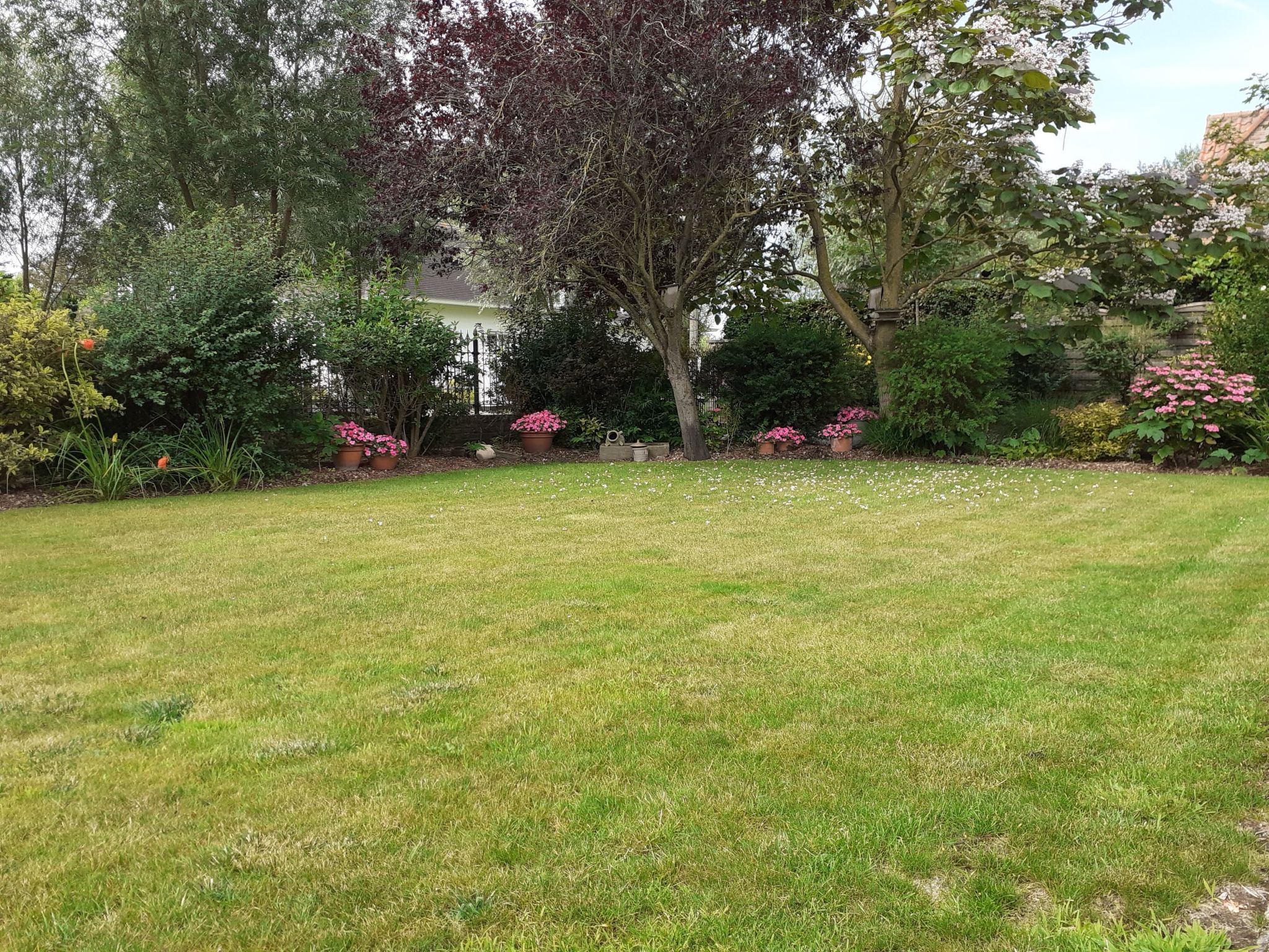 Photo 16 - Maison de 3 chambres à De Haan avec jardin et terrasse