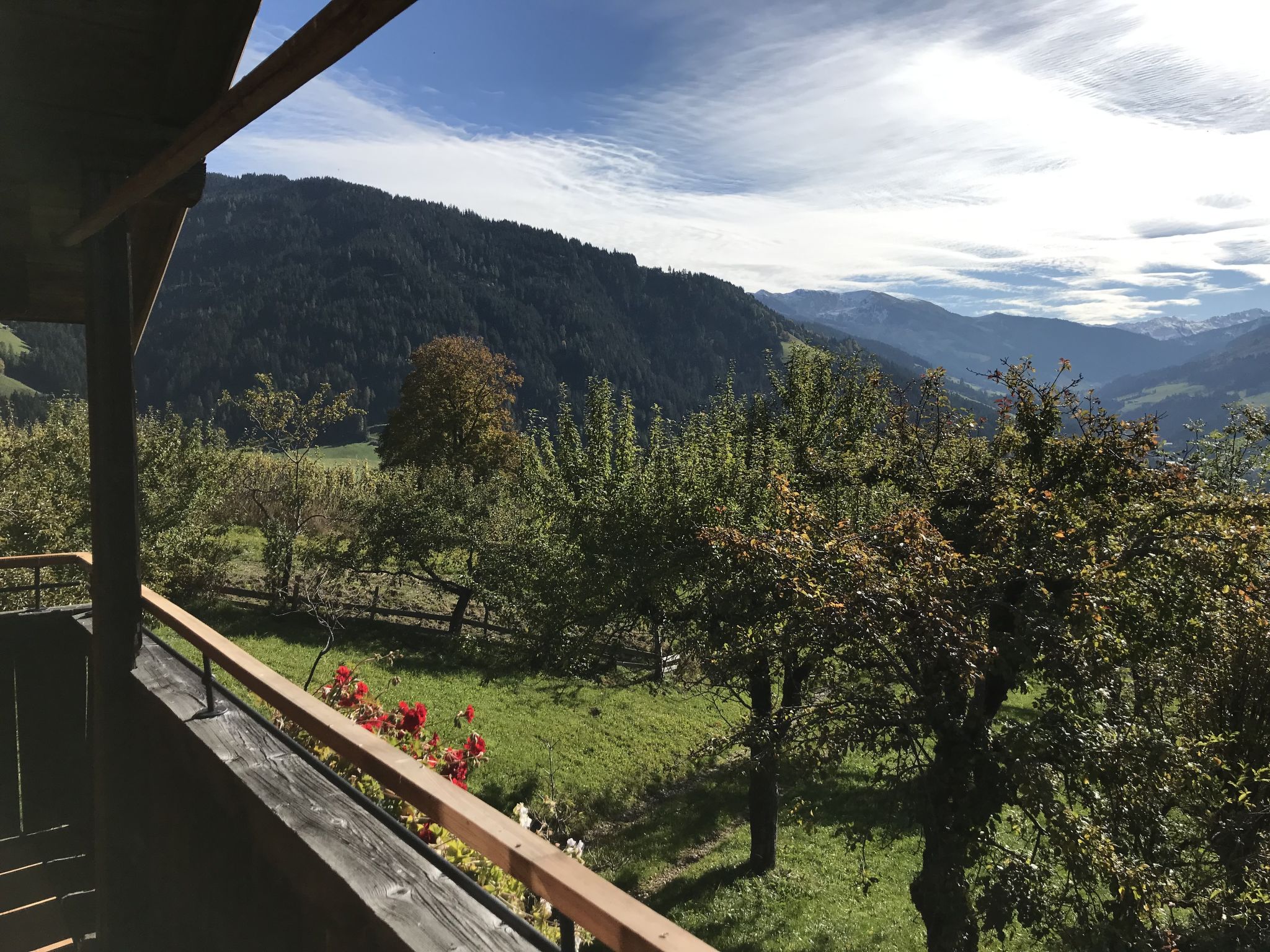 Foto 61 - Casa de 1 quarto em Wildschönau com jardim e vista para a montanha