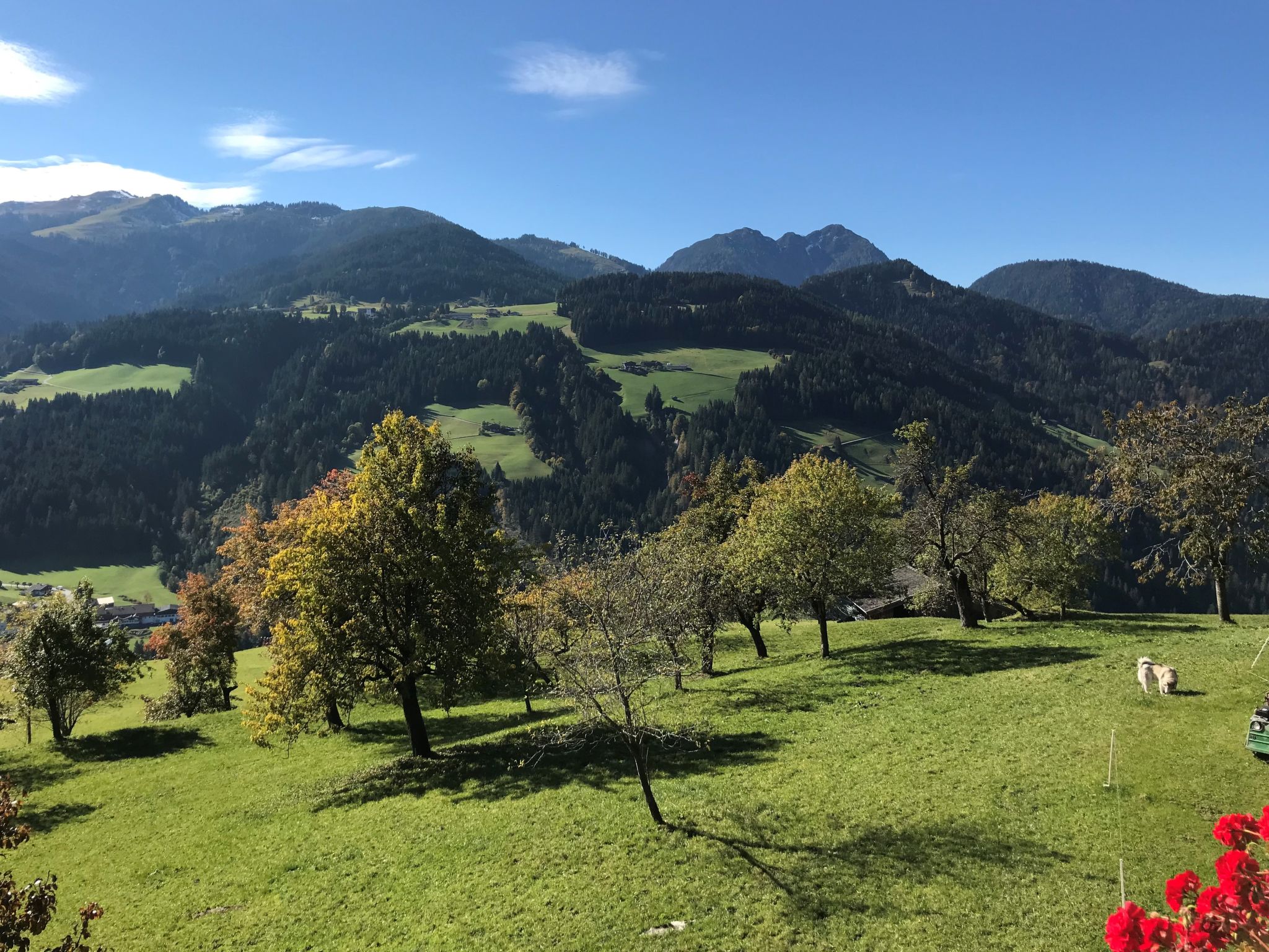 Foto 53 - Casa de 1 quarto em Wildschönau com jardim e vista para a montanha