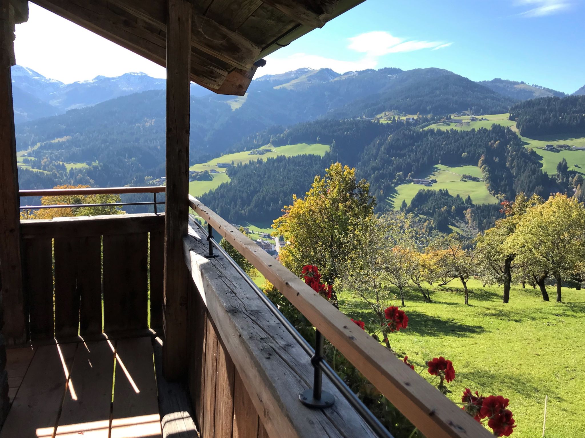 Foto 31 - Haus mit 1 Schlafzimmer in Wildschönau mit garten und terrasse