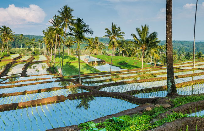 Half Day Hills and Rice Terrace - Private Tour - Photo 3