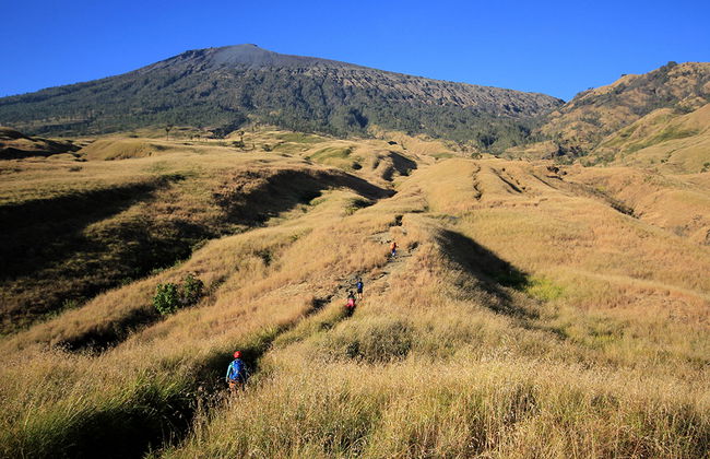 Half Day Hills and Rice Terrace - Private Tour - Photo 4