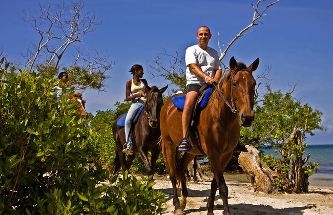 Paseo y nado en caballo - Foto 4
