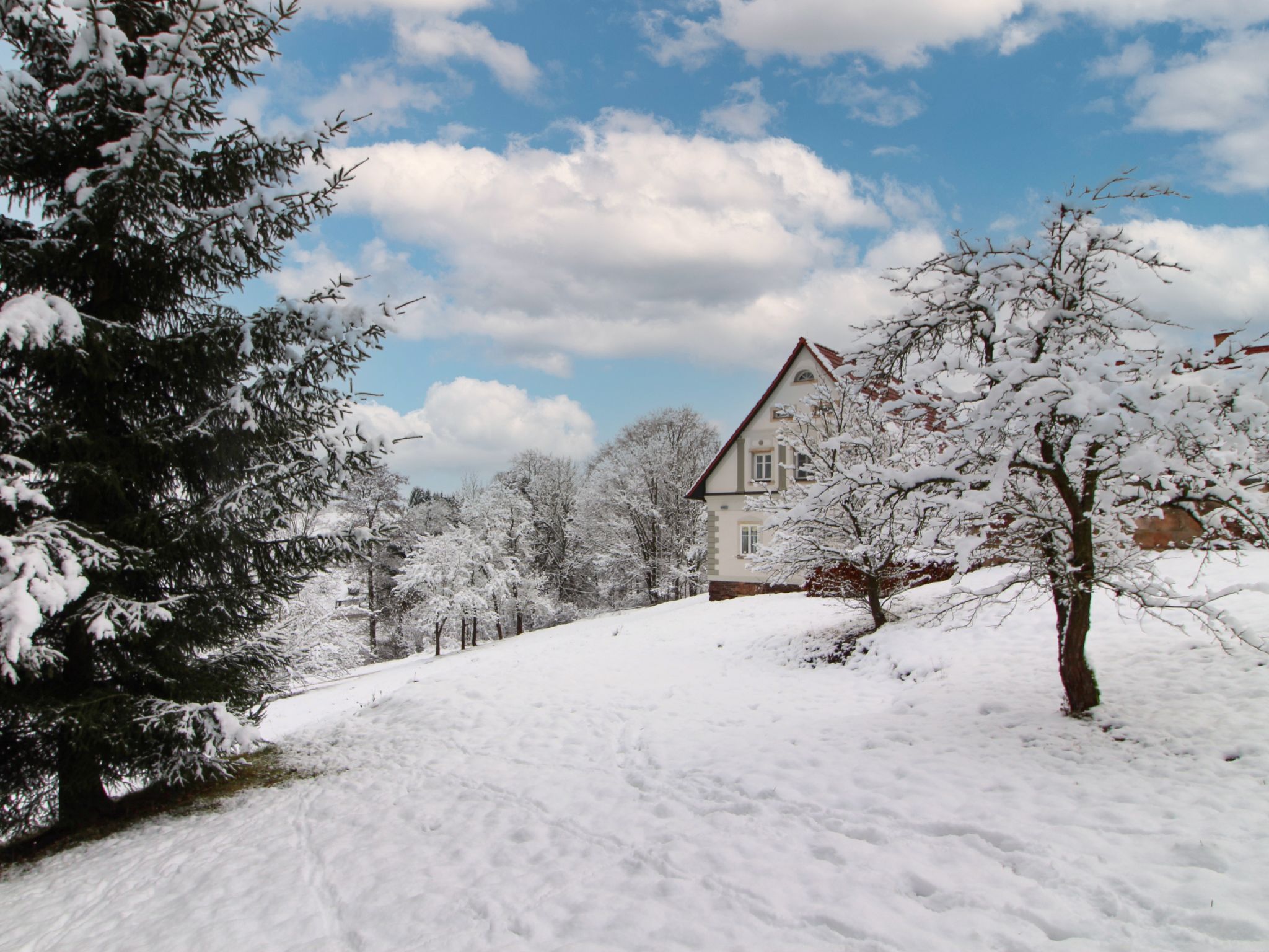 Photo 37 - 3 bedroom House in Šonov with private pool and garden