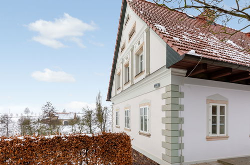 Foto 33 - Casa con 3 camere da letto a Šonov con piscina privata e terrazza