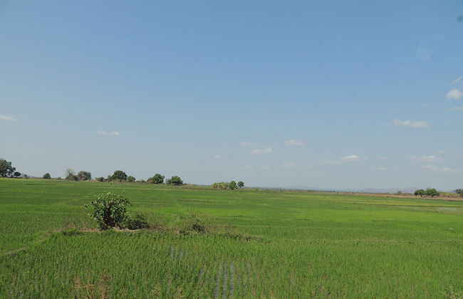 Riserva Privata Marofandilia - Foto 3