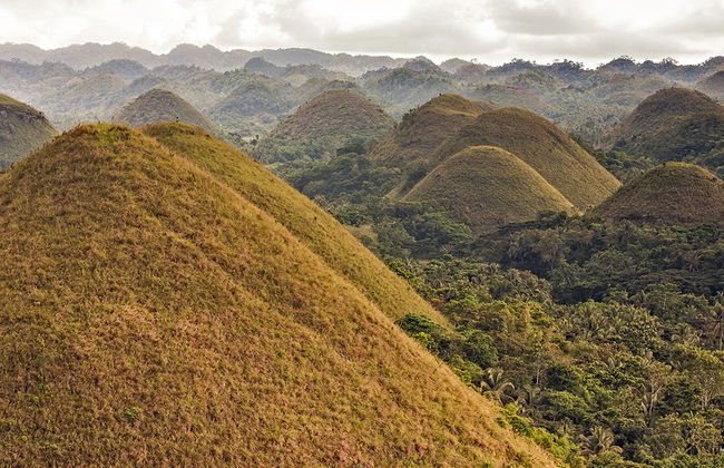 Tour Chocolate Hills and Tarsier Encounter - Private - Photo 2