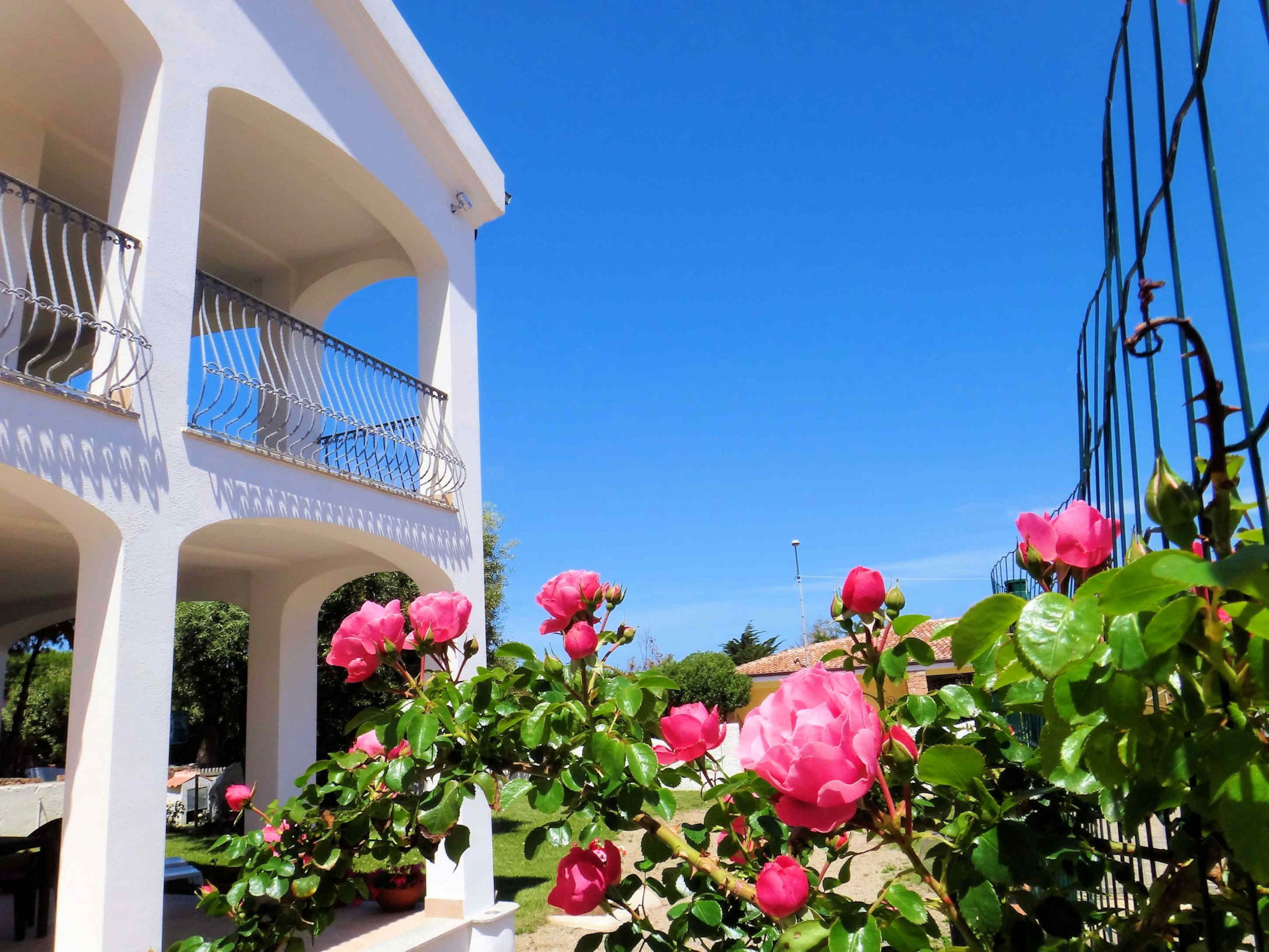 Photo 2 - Apartment in Valledoria with garden and terrace