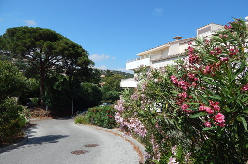 Foto 22 - Apartment mit 3 Schlafzimmern in Cavalaire-sur-Mer mit schwimmbad und blick aufs meer