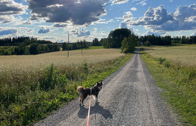 Casa con 1 camera da letto a Virrat con sauna - Foto 23