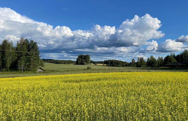 Casa con 4 camere da letto a Virrat con sauna - Foto 40