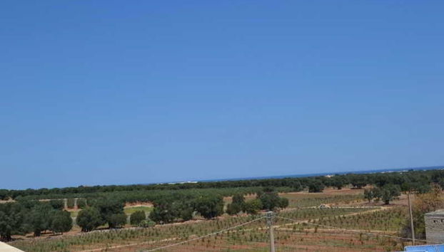 Agriturismo I Pozzetti - Foto 5