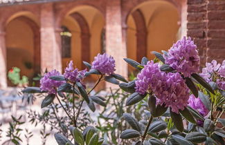 Photo 3 - Chiostro Del Carmine