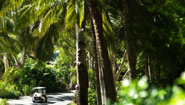 Hamilton Island Holiday Homes - Foto 5