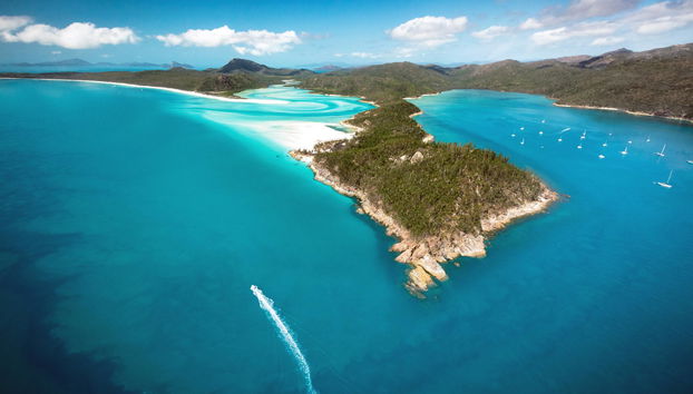 Hamilton Island Holiday Homes - Foto 4