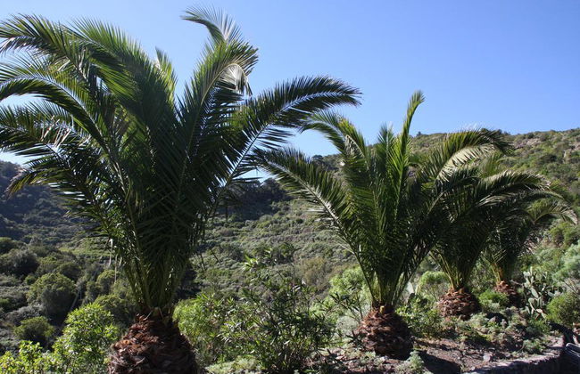 Las Casas del Chorro - Foto 2