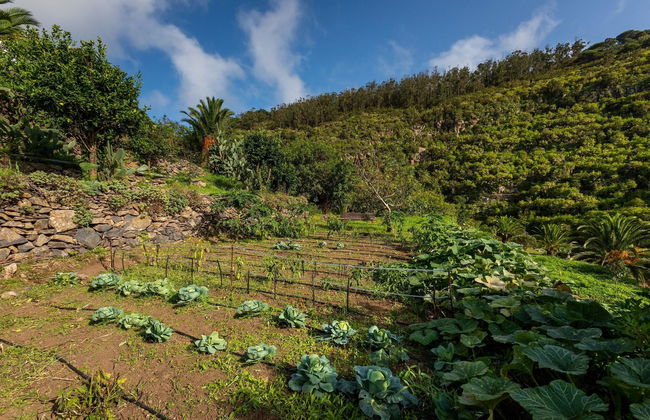 Las Casas del Chorro - Foto 40