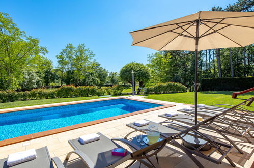 Photo 3 - Maison de 3 chambres à Sveta Nedelja avec piscine privée et jardin