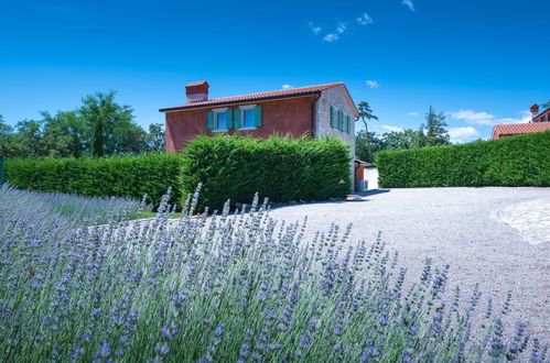 Photo 28 - Maison de 3 chambres à Sveta Nedelja avec piscine privée et jardin