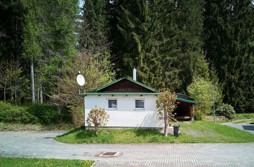 Foto 19 - Casa con 2 camere da letto a Harrachov con giardino
