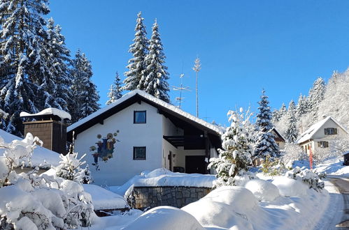 Foto 47 - Apartment mit 3 Schlafzimmern in Schluchsee mit garten