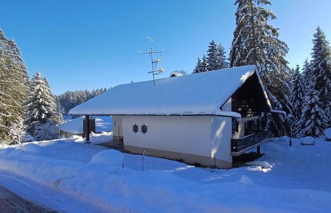 Apartamento de 4 quartos em Schluchsee com jardim - Foto 51