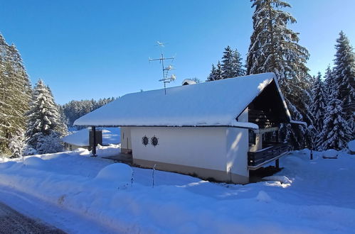 Photo 32 - Appartement de 3 chambres à Schluchsee avec jardin et vues sur la montagne