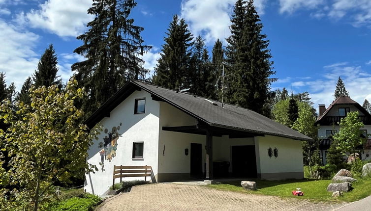 Photo 1 - Appartement de 3 chambres à Schluchsee avec jardin