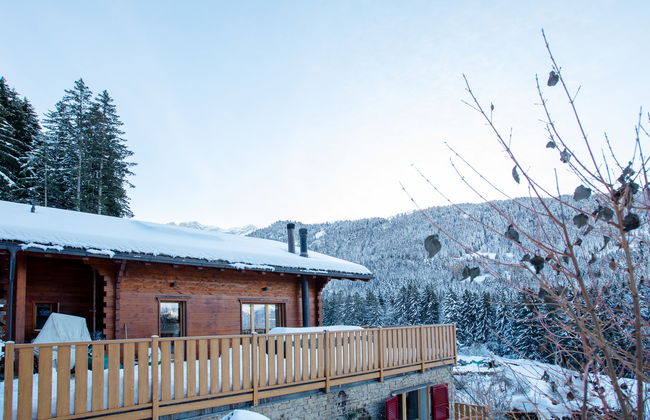Casa de 5 quartos em Gryon com jardim e terraço - Foto 42