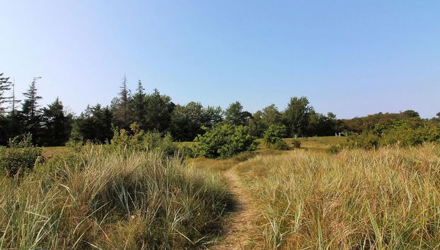 3 bedroom House in Gedser with terrace and sauna - Photo 5