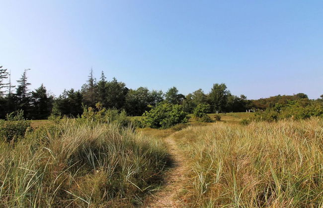 Casa de 3 quartos em Gedser com terraço e sauna - Foto 5