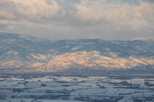 Foto 44 - Meublé Il Riccio