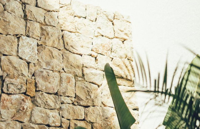 Lanuza Suites - Foto 17