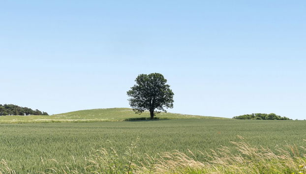 Haus mit 3 Schlafzimmern in Knebel mit terrasse - Foto 3