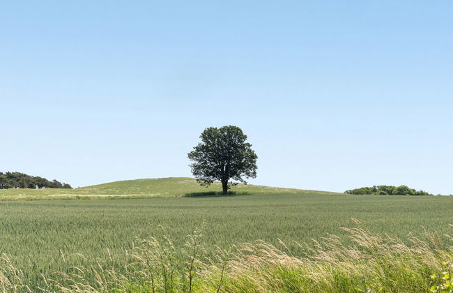 Haus mit 3 Schlafzimmern in Knebel mit terrasse - Foto 3