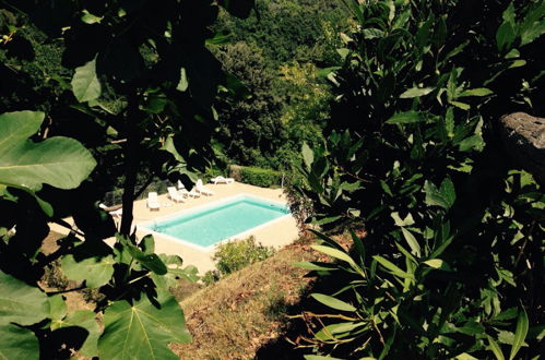 Foto 3 - Apartamento de 1 habitación en Riparbella con piscina y jardín