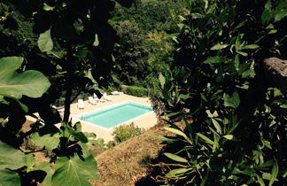 Photo 3 - 1 bedroom Apartment in Riparbella with swimming pool and garden