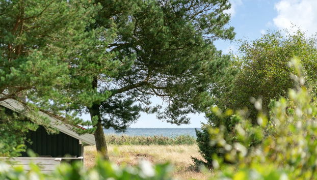 4 bedroom House in Hals with terrace and sauna - Photo 4