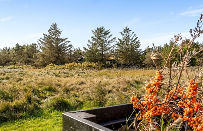 Casa de 3 quartos em Hirtshals com terraço e sauna - Foto 11