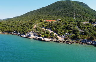 Photo 3 - Appartement de 4 chambres à Ston avec terrasse et vues à la mer