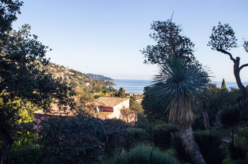 Foto 25 - Casa de 3 quartos em Le Lavandou com terraço e vistas do mar