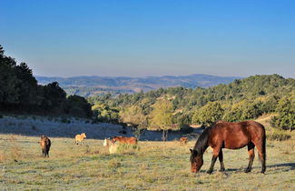 Photo 3 - Domaine De Fraisse