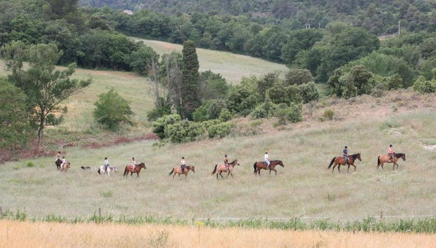 Domaine De Fraisse - Foto 5