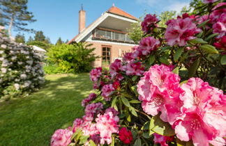 Photo 1 - Maison de 3 chambres à Rømø avec terrasse