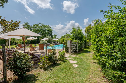 Photo 42 - Appartement de 2 chambres à Cinigiano avec piscine et jardin