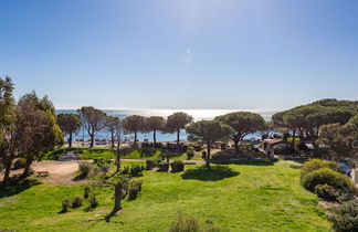 Foto 2 - Apartamento de 1 quarto em Roquebrune-sur-Argens com piscina e terraço