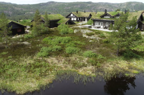 Photo 19 - Maison de 3 chambres à Åseral avec jardin et terrasse