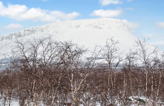 Haus mit 1 Schlafzimmer in Enontekiö - Foto 20