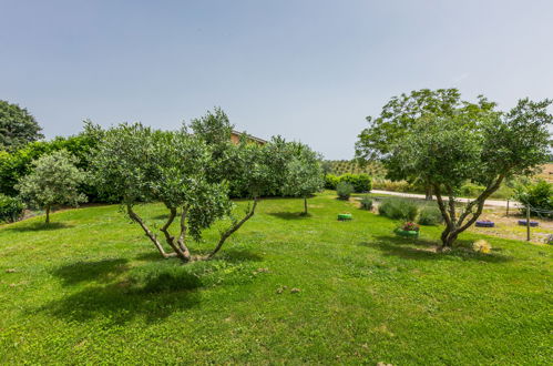 Foto 36 - Haus mit 2 Schlafzimmern in Sorano mit schwimmbad und garten