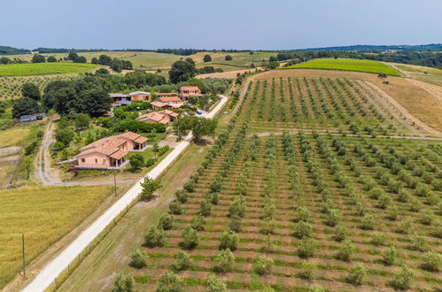 Foto 6 - Casa con 2 camere da letto a Sorano con piscina e giardino